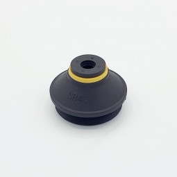 Sauger | Beta Online Shop