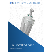 Pneumatic Cylinder Overview - 1