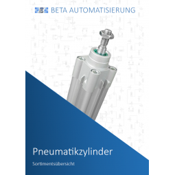 Pneumatic Cylinder Overview