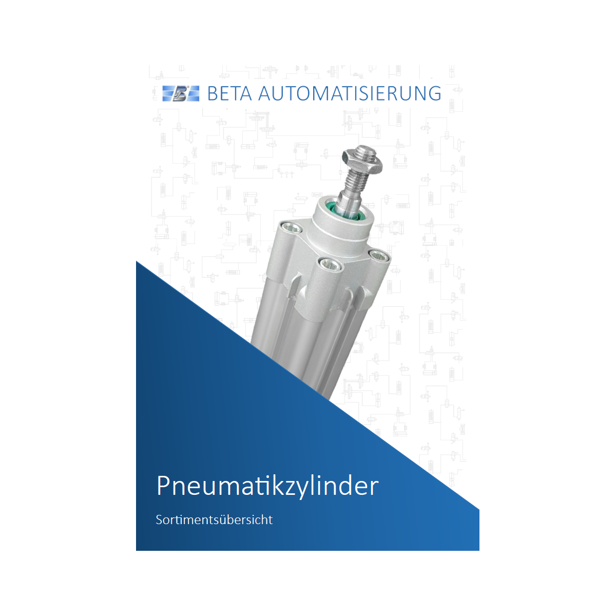 Pneumatic Cylinder Overview - 1 Pneumatic Cylinder Overview - 1