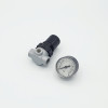Druckregler BR 0 / G 1/4" / 0,5-16 bar / DR.01G 0,5-16BAR - 1