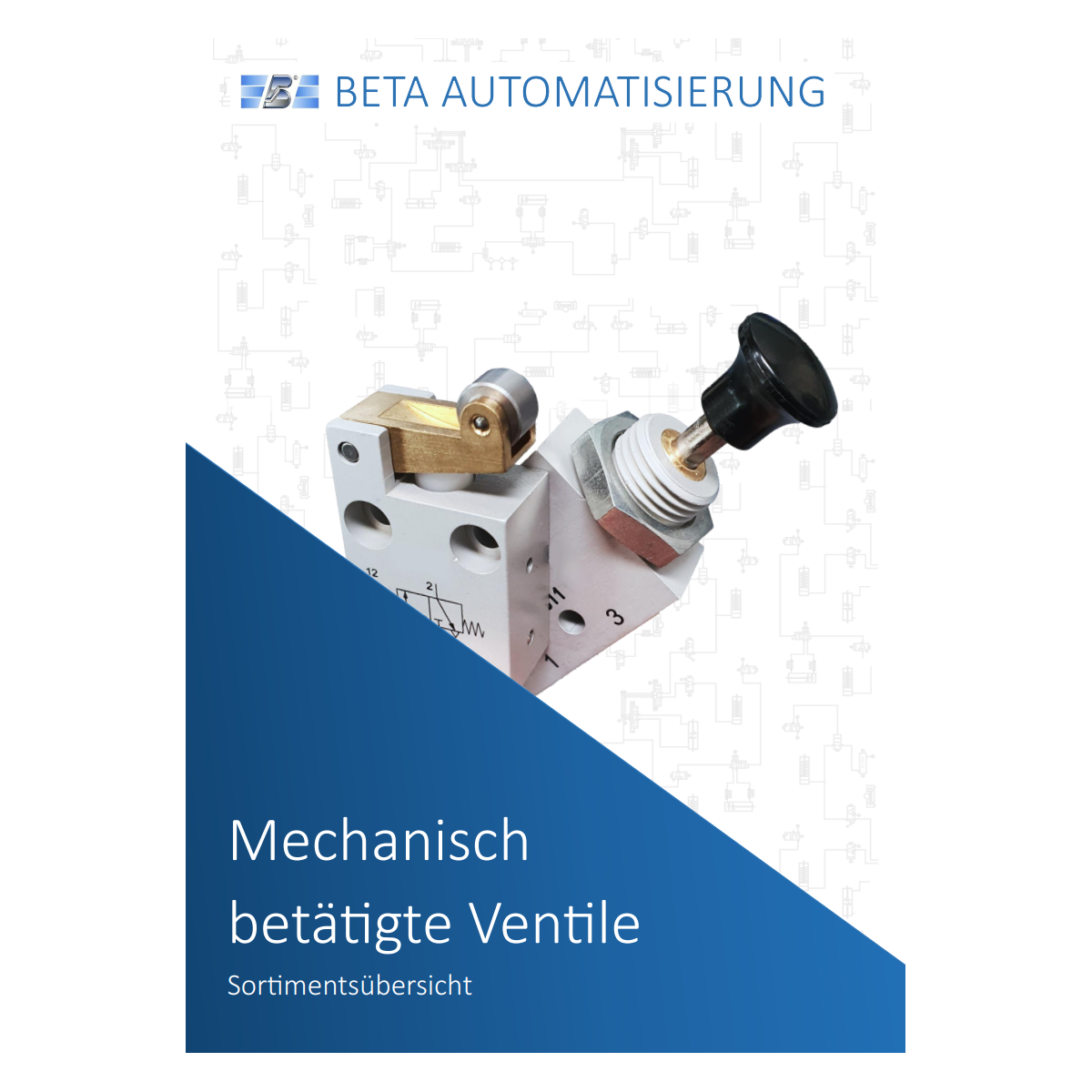 Mechanical Valves Overview | Beta Online Shop