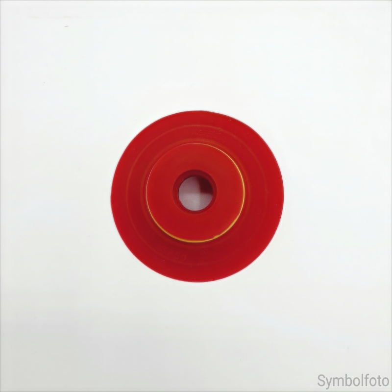 Vakuumsauger Serie-SF - 4